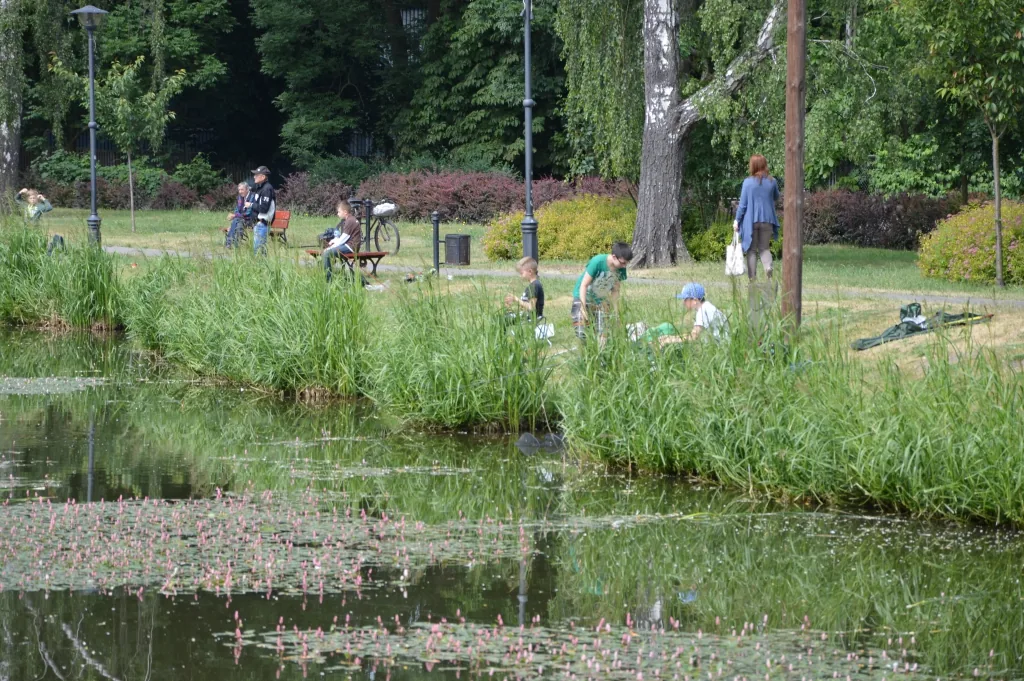 Zawody Międzyszkolne 11.06.2015